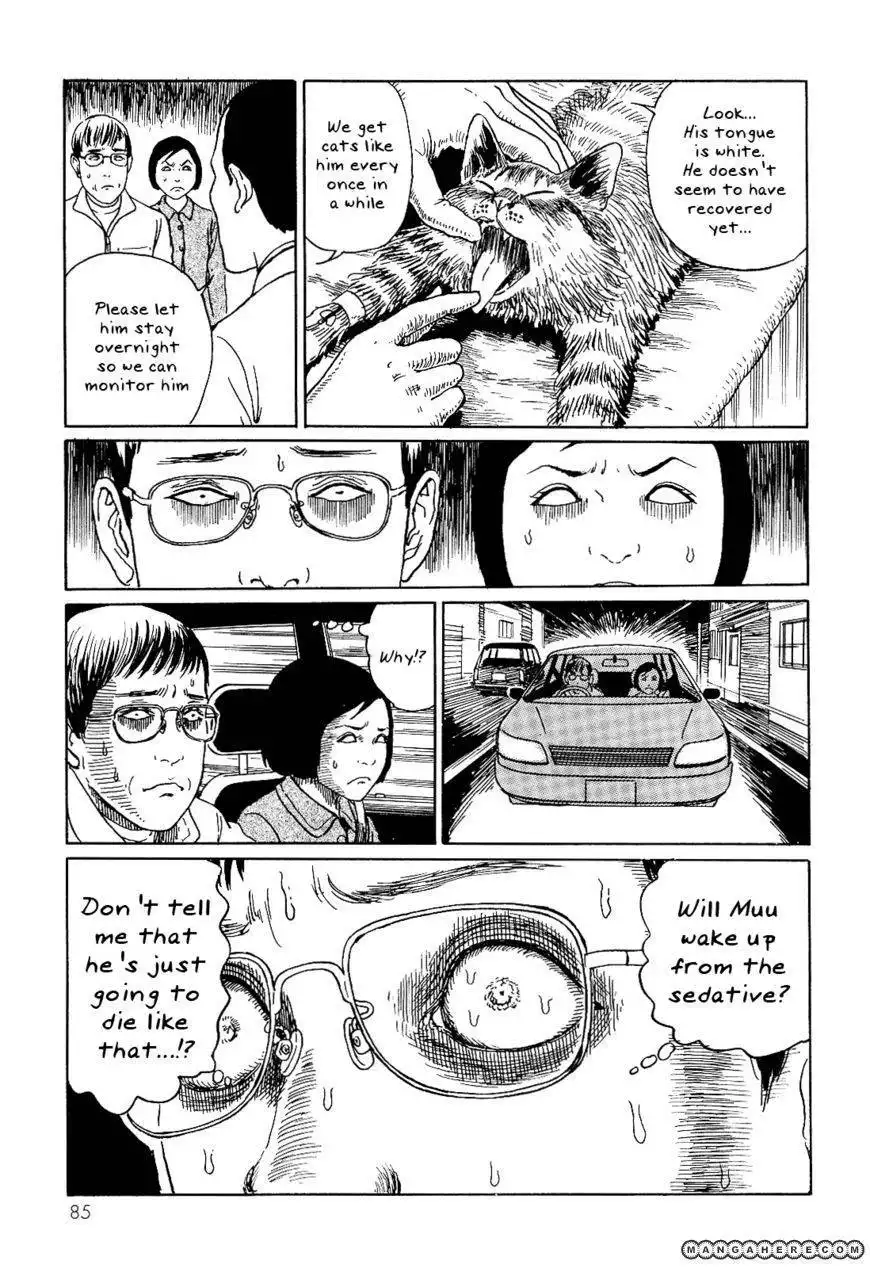 Ito Junji's Cat Diary Chapter 8 7